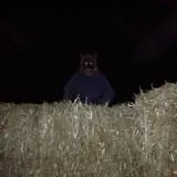 Burley Straw Maze & Pumpkin Patch photo
