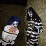 Burley Straw Maze & Pumpkin Patch photo