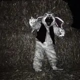 Burley Straw Maze & Pumpkin Patch photo