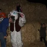 Burley Straw Maze & Pumpkin Patch photo