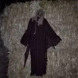 Burley Straw Maze & Pumpkin Patch photo