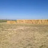 Burley Straw Maze & Pumpkin Patch photo