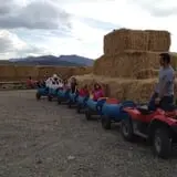 Burley Straw Maze & Pumpkin Patch photo