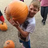 Burley Straw Maze & Pumpkin Patch photo