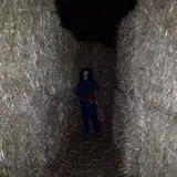 Burley Straw Maze & Pumpkin Patch photo