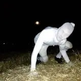 Burley Straw Maze & Pumpkin Patch photo