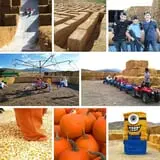 Burley Straw Maze & Pumpkin Patch photo