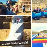 Burley Straw Maze & Pumpkin Patch photo
