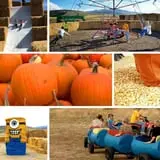 Burley Straw Maze & Pumpkin Patch photo