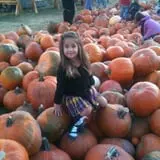 Insanity Point - CornBelly's Maze & Pumpkin Fest photo