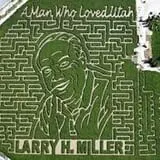Insanity Point - CornBelly's Maze & Pumpkin Fest photo