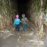 Insanity Point - CornBelly's Maze & Pumpkin Fest photo