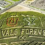 Insanity Point - CornBelly's Maze & Pumpkin Fest photo