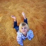 Insanity Point - CornBelly's Maze & Pumpkin Fest photo