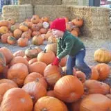 Insanity Point - CornBelly's Maze & Pumpkin Fest photo