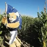 Insanity Point - CornBelly's Maze & Pumpkin Fest photo