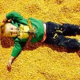 Insanity Point - CornBelly's Maze & Pumpkin Fest photo