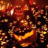 Insanity Point - CornBelly's Maze & Pumpkin Fest photo