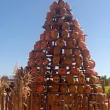 Insanity Point - CornBelly's Maze & Pumpkin Fest photo