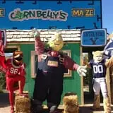 Insanity Point - CornBelly's Maze & Pumpkin Fest photo