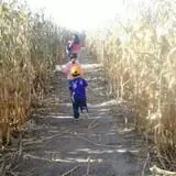 Insanity Point - CornBelly's Maze & Pumpkin Fest photo