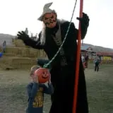 Insanity Point - CornBelly's Maze & Pumpkin Fest photo