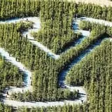 Insanity Point - CornBelly's Maze & Pumpkin Fest photo