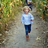 Insanity Point - CornBelly's Maze & Pumpkin Fest photo