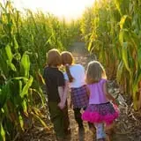 Insanity Point - CornBelly's Maze & Pumpkin Fest photo