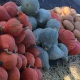 Marshall's Farm Market Halloween Hollow photo
