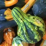 Marshall's Farm Market Halloween Hollow photo