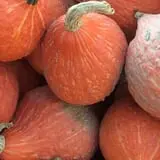 Marshall's Farm Market Halloween Hollow photo