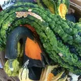 Marshall's Farm Market Halloween Hollow photo