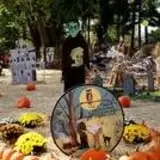 Marshall's Farm Market Halloween Hollow photo