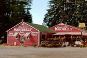 Marshall's Farm Market Halloween Hollow