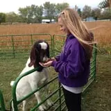 Badger Pumpkin Patch photo