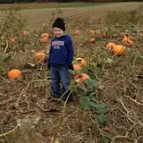 Badger Pumpkin Patch photo