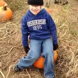 Badger Pumpkin Patch photo