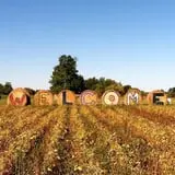Cuff Farms photo