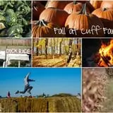 Cuff Farms photo