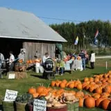 Cuff Farms photo