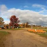 Cuff Farms photo