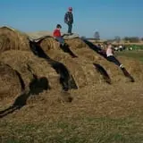 Cuff Farms photo