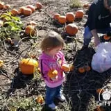 Cuff Farms photo