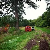 Cuff Farms photo