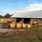 Cuff Farms photo