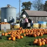 Cuff Farms photo