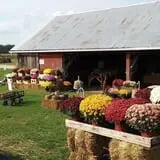 Cuff Farms photo