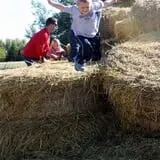 Cuff Farms photo