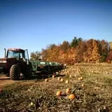 Cuff Farms photo